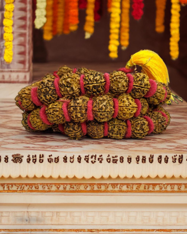 Rudraksh Kanthi Mala