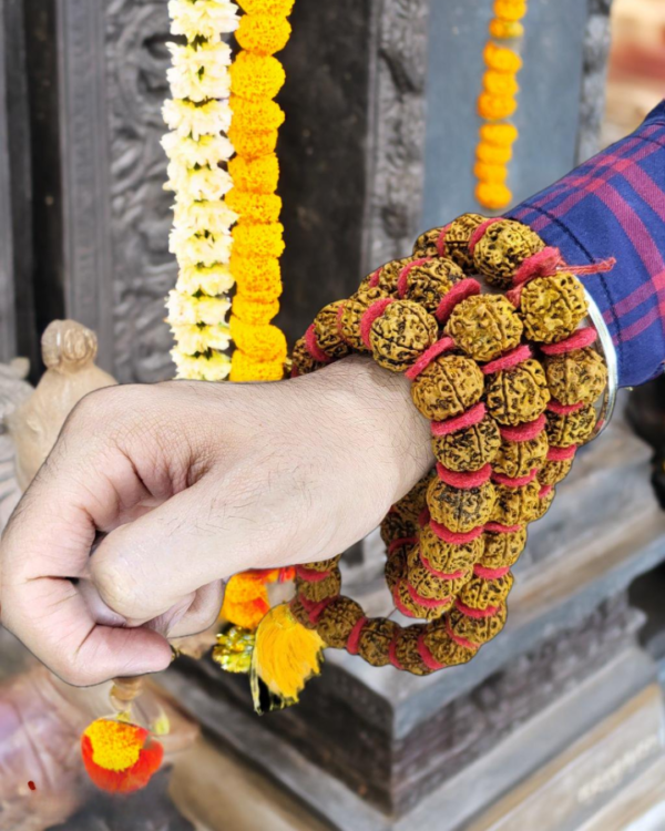 Rudraksh Kanthi Mala