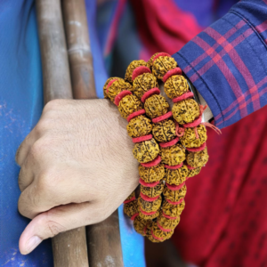 Rudraksh Kanthi Mala