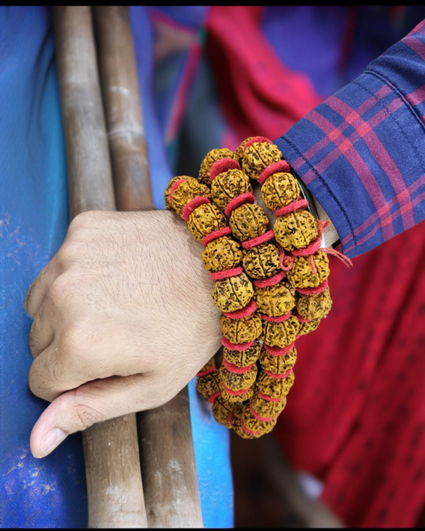 Rudraksh Kanthi Mala Rudraksh Kanthi Mala