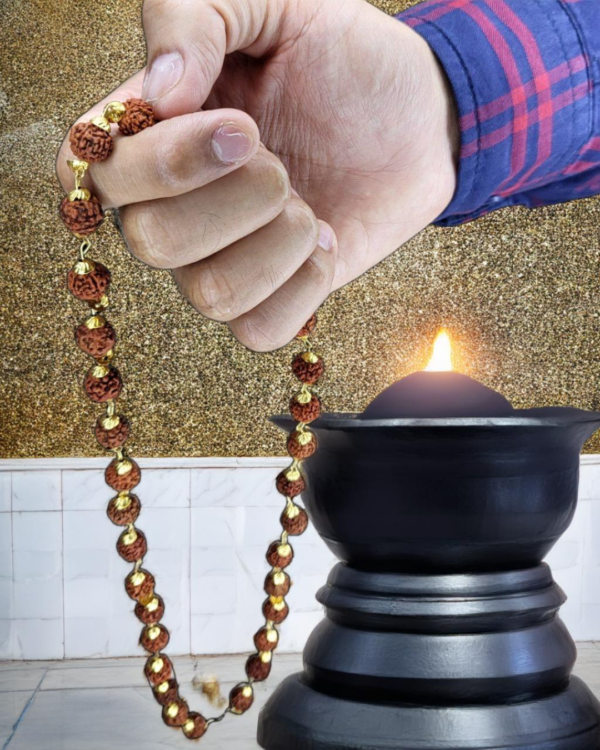 5 Mukhi Rudraksh Mala with Gold Plated chain