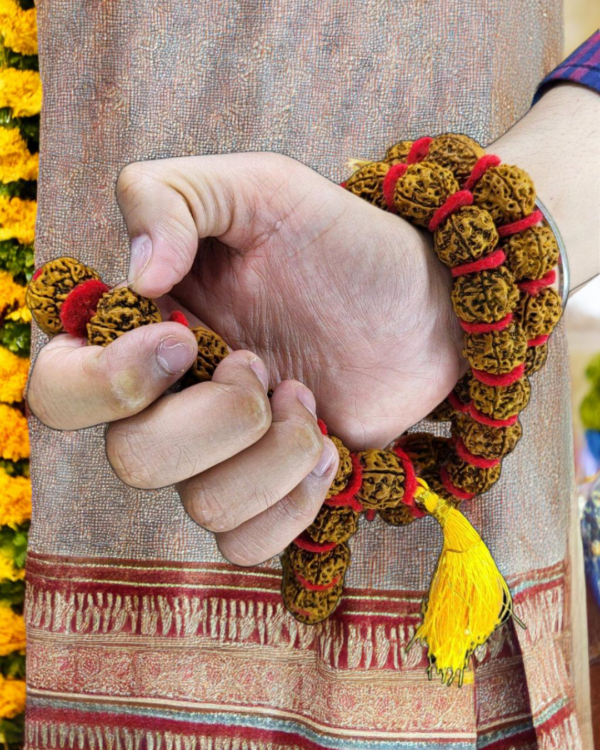 Rudraksh Kanthi Mala