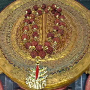 5 Mukhi Rudraksh mala with mahakal locket