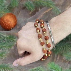5 Mukhi Rudraksh Mala with Gold Plated chain