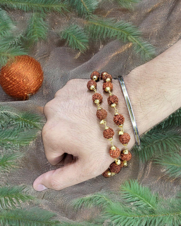 5 Mukhi Rudraksh Mala with Gold Plated chain 5 Mukhi Rudraksh Mala with Gold Plated chain