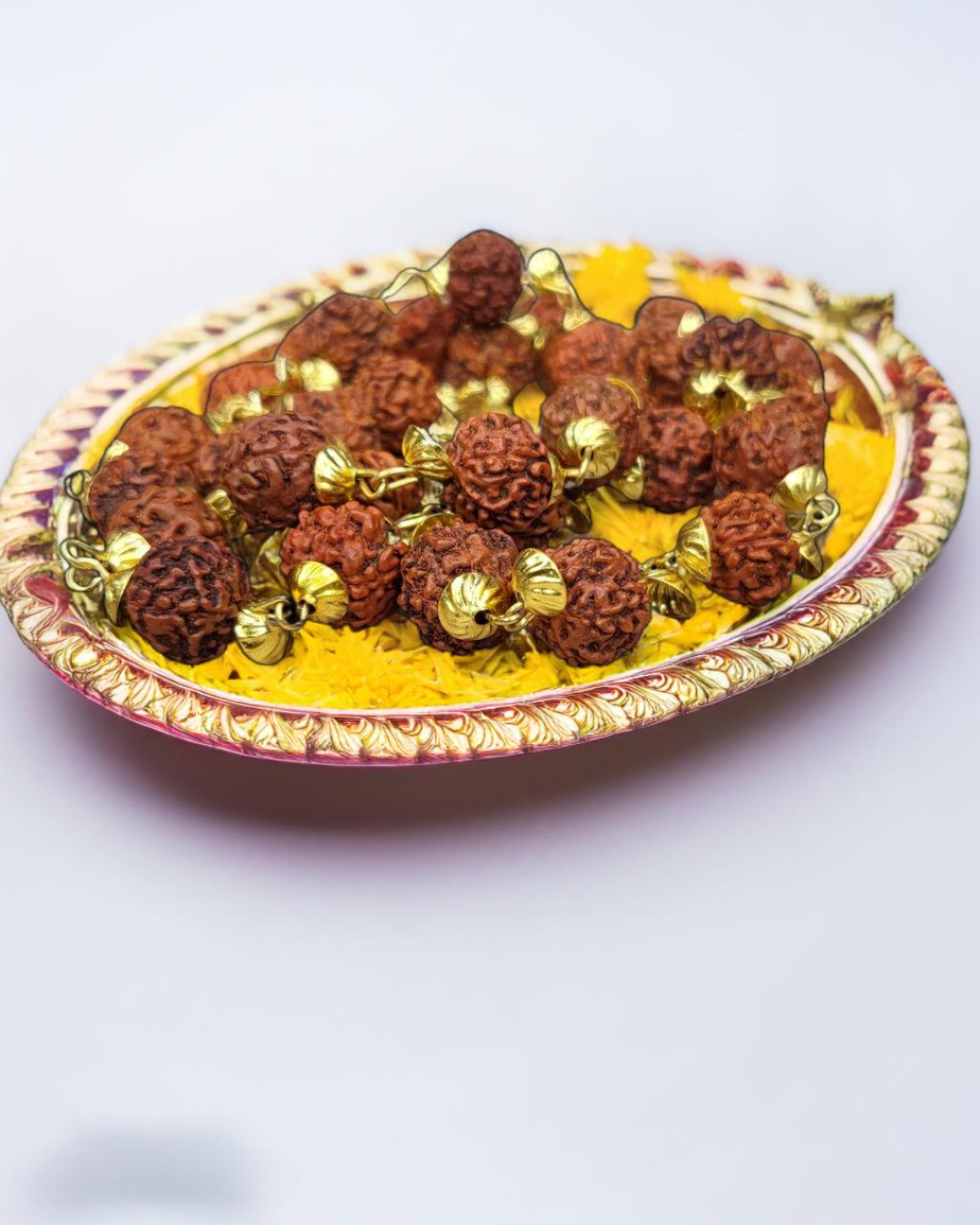 5 Mukhi Rudraksh Mala with Gold Plated chain